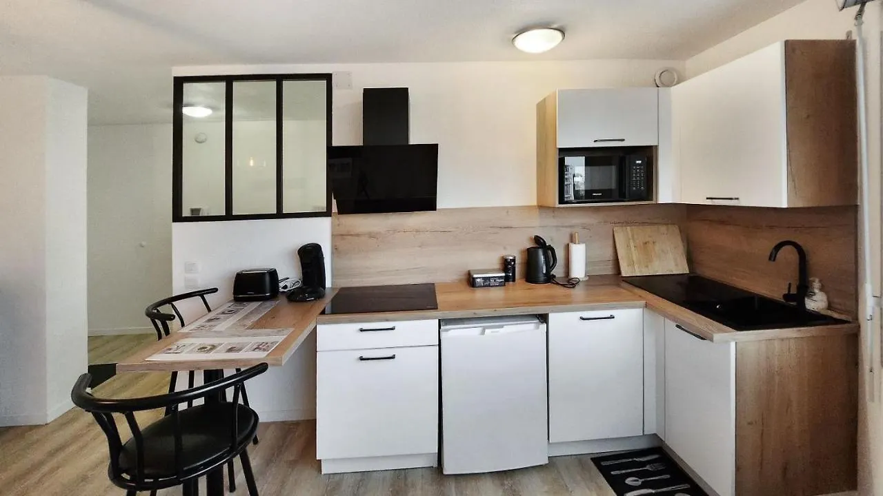 Apartment Studio Cosy Elegant Villeurbanne France