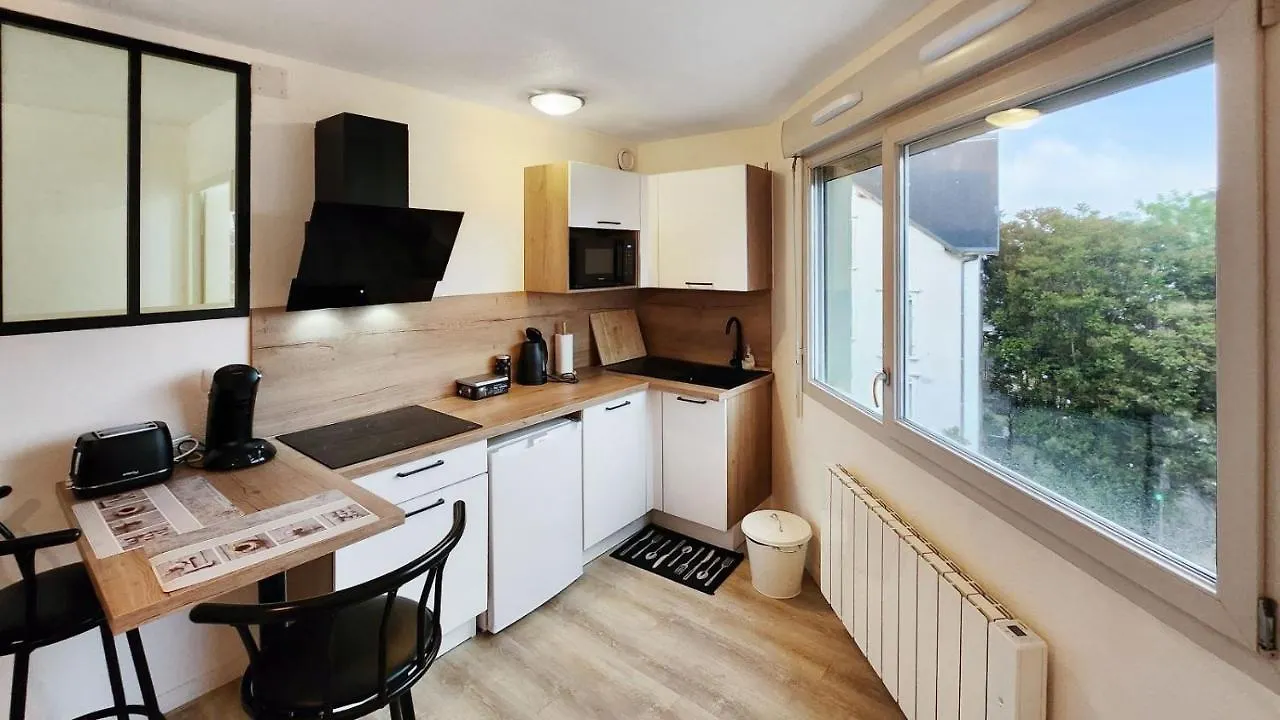 Apartment Studio Cosy Elegant Villeurbanne