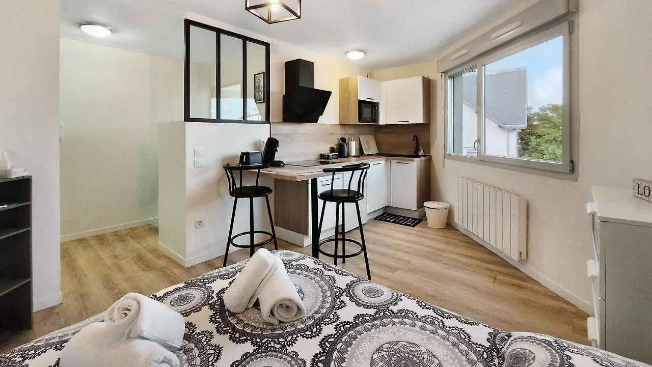 Studio Cosy Elegant Villeurbanne France